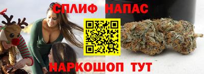 хмурый Малгобек